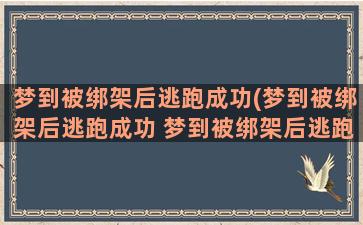 梦到被绑架后逃跑成功(梦到被绑架后逃跑成功 梦到被绑架后逃跑成功是什么意思)